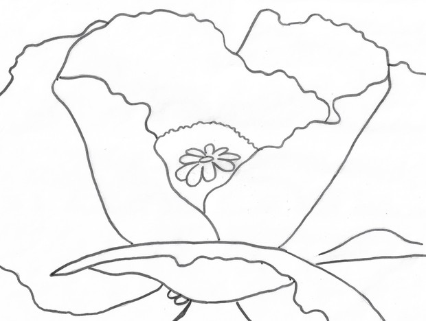 Georgia O'Keeffe: American Art History Project and Lesson