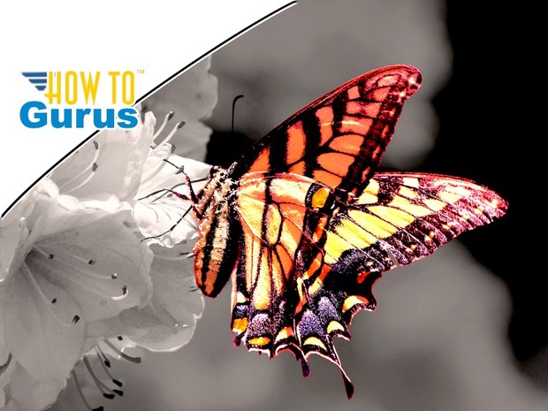 Photoshop Color Splash Effect : Black and White Photo with Color in CC 2017 CS6 CS5 Tutorial
