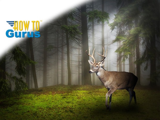How to do Light Rays and Photo Manipulation in Photoshop Elements 14 13 12 11 Tutorial