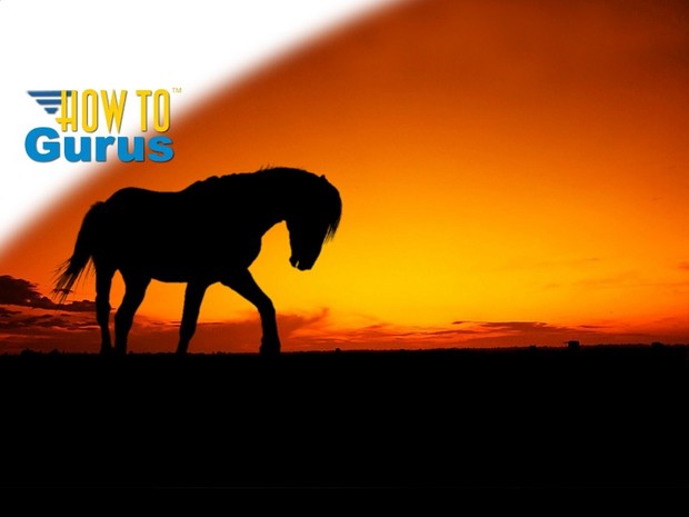 How to do a Horse Silhouette Photo Manipulation in Photoshop Elements 14 13 12 11 Tutorial
