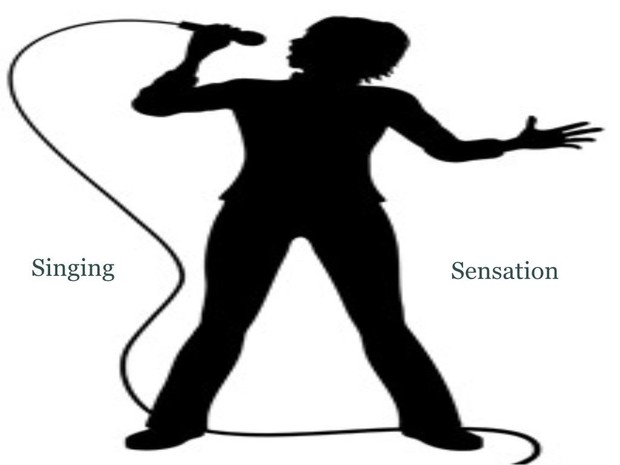 Singing Sensation MP3