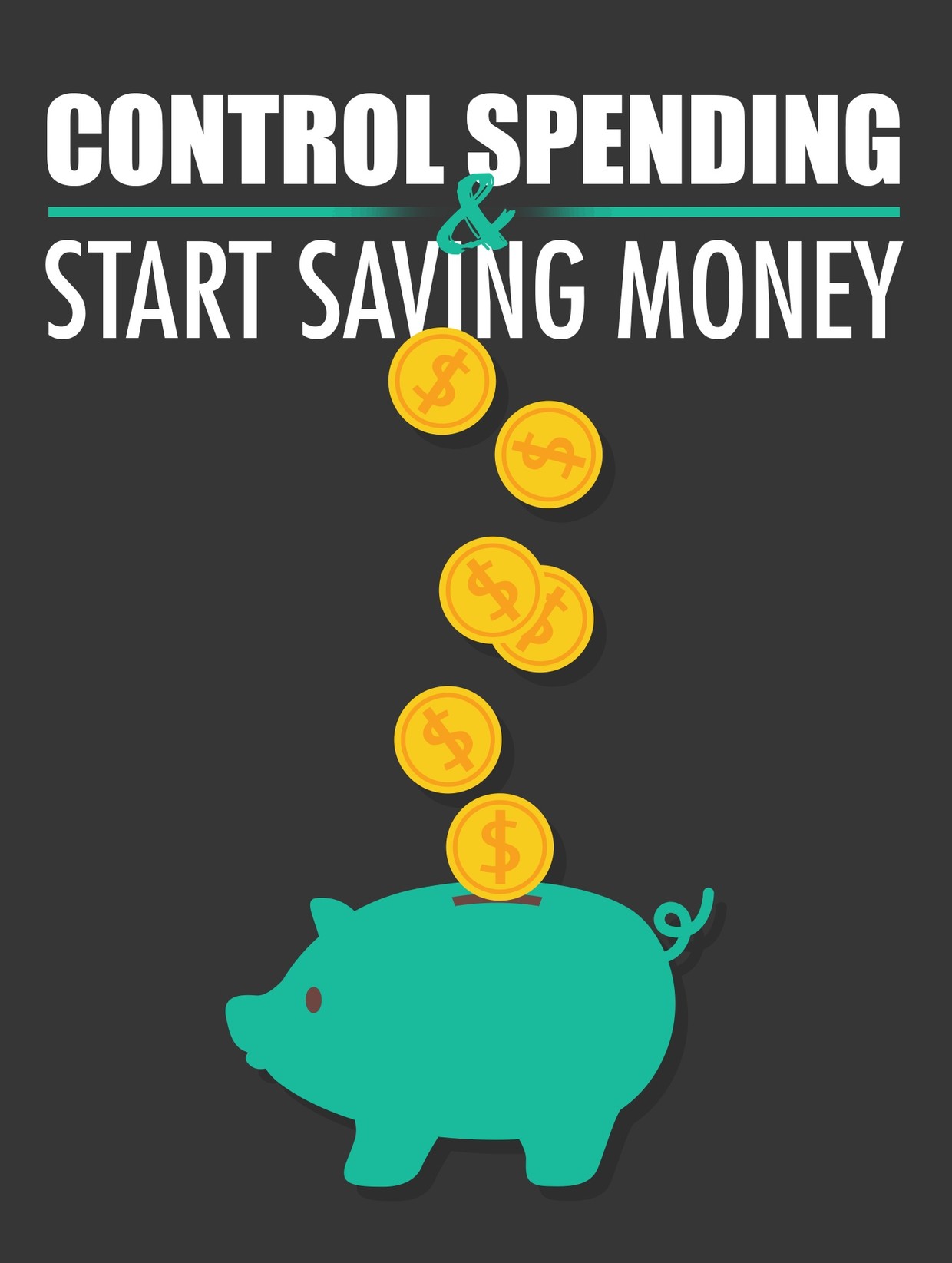 Control Spending & Start Saving Money - velocityspark