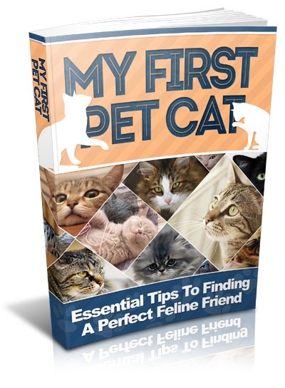 My First Pet Cat