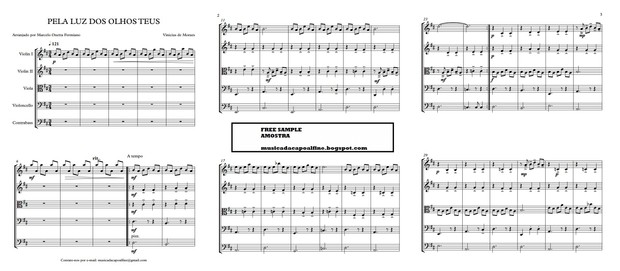 PELA LUZ DOS OLHOS TEUS - Quinteto de Cordas -Score and parts.pdf