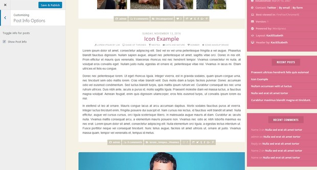 Premade 119 (WP)