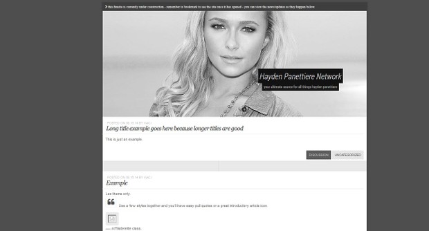 Premade 18 (Wordpress Theme)