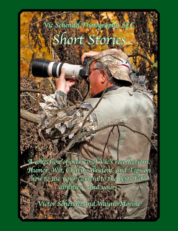 Vic's Adventures PDF