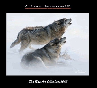 2016 Fine Art Catalog - Vic Schendel