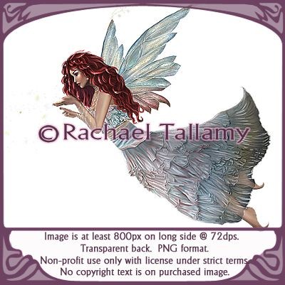 Fairy-Non-profit only with licensed use from rtallamy.com. Copyright-Rachael Tallamy