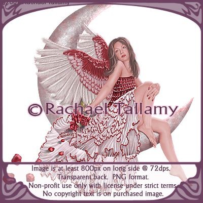 Valentine- Non-profit only with licensed use from rtallamy.com. Copyright-Rachael Tallamy