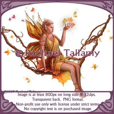 AutumnFae- Non-profit only with licensed use from rtallamy.com. Copyright-Rachael Tallamy