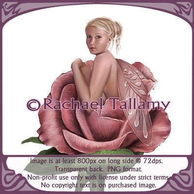 Charmed Rose - Non-profit only with licensed use from rtallamy.com. Copyright-Rachael Tallamy