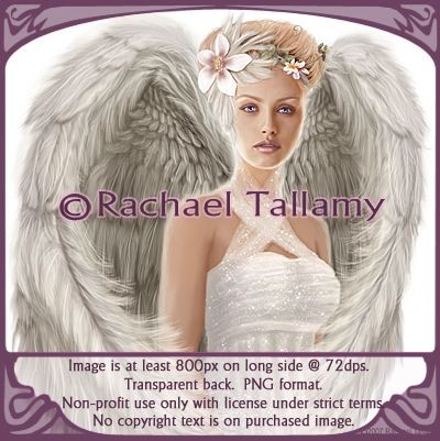 Beauty -- Non-profit only with licensed use from rtallamy.com. Copyright-Rachael Tallamy