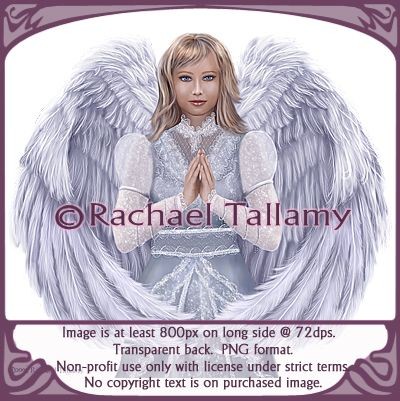 Wing and Prayer- Non-profit only with licensed use from rtallamy.com. Copyright-Rachael Tallamy