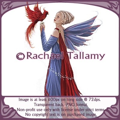 Taming Winter--Non-profit only with licensed use from rtallamy.com. Copyright-Rachael Tallamy