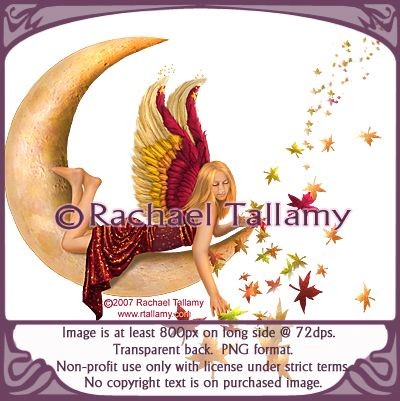 Autumn Moon -- Non-profit only with licensed use from rtallamy.com. Copyright-Rachael Tallamy