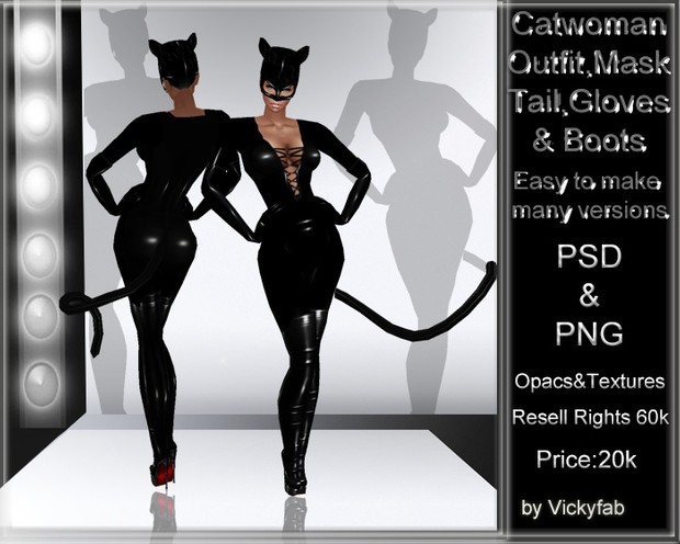 Catwoman Outfit