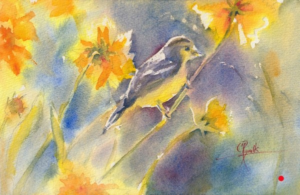 "Backlit Goldfinch" Watercolor Print
