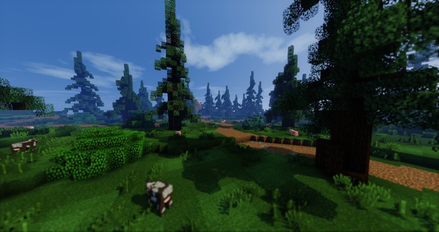 PvP Zone! - Pines