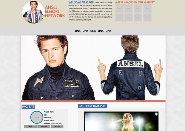 Wordpress Premade Theme #2 - Dangerous