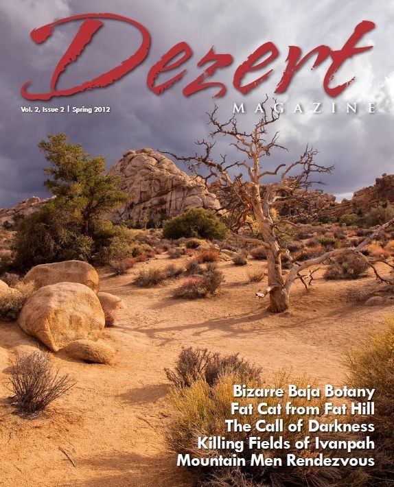 Dezert magazine Spring 2012
