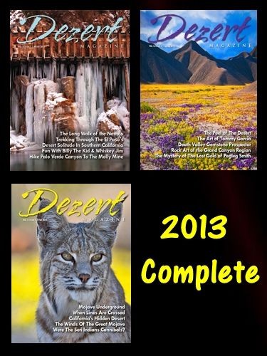 2013 Complete ( 2 issues & 1 double issue )