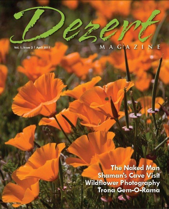 Dezert magazine April 2011