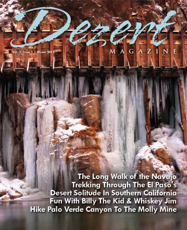 Dezert magazine Winter 2013