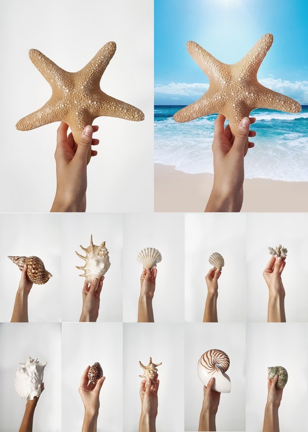 Hand holding shell, starfish, marine items