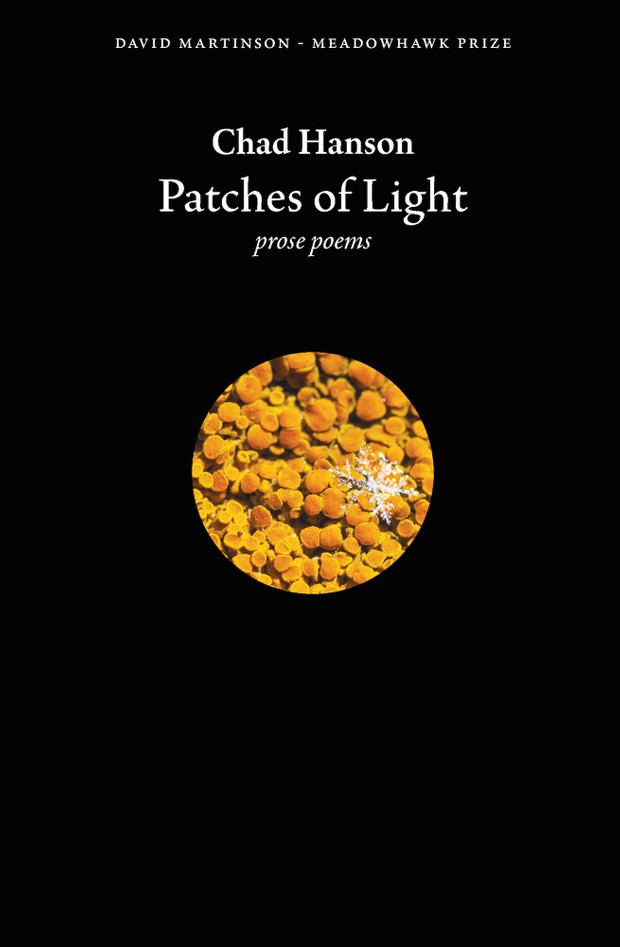 Patches of Light (ePub3)