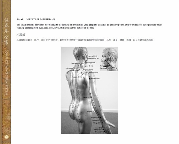 COMPLETE WING CHUN SYSTEM by William Cheung