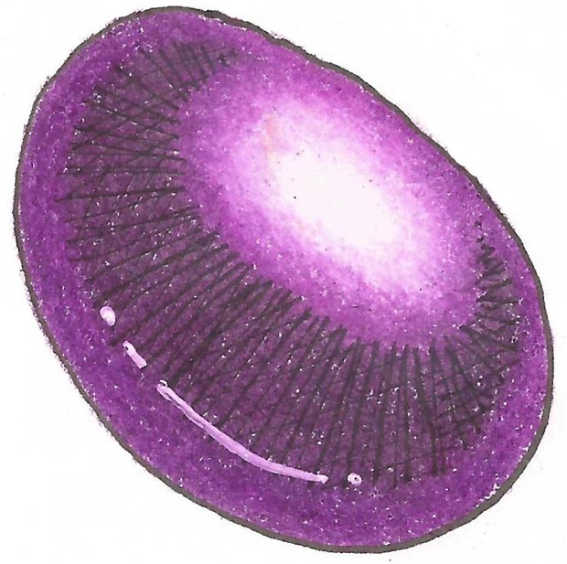 How to color smooth Gemstones (and flowers) PDF