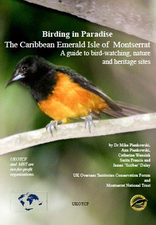 Birding in Paradise: The Caribbean Emerald Isle of Montserrat