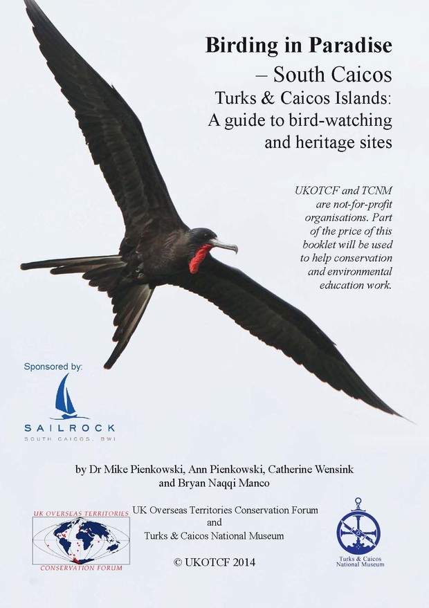 Birding in Paradise - South Caicos