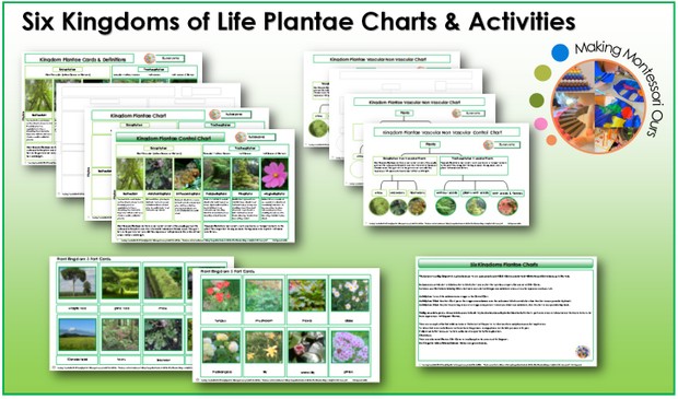 Six Kingdoms Plantae Materials & Labels Printable Package