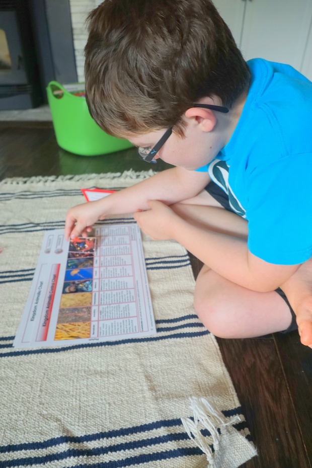 Six Kingdoms Animalia Charts, Materials and Labels Printable Package