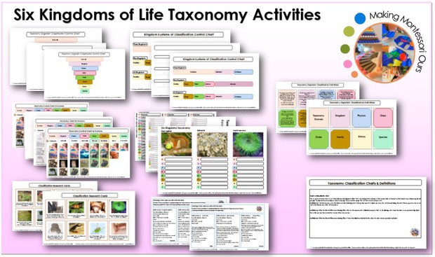 Six Kingdoms Taxonomy & Labels Printable Package