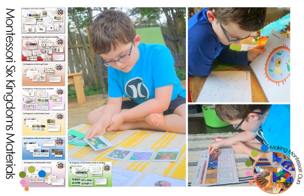 Six Kingdoms of Life Charts, Materials & Material Labels Printable Package