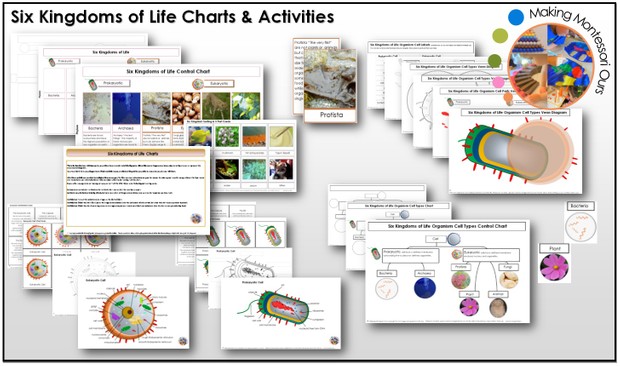Six Kingdoms of Life Charts, Materials & Material Labels Printable Package
