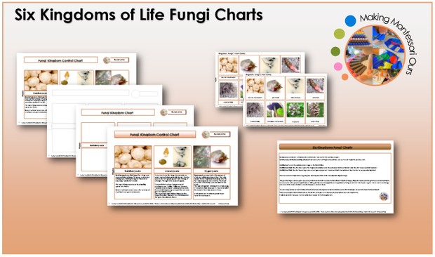 Six Kingdoms Fungi Chart & Labels Printable Package