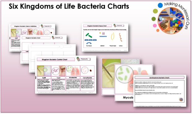 Six Kingdoms Bacteria Chart & Labels Printable Package