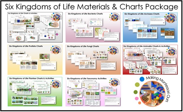 Six Kingdoms Fungi Chart & Labels Printable Package