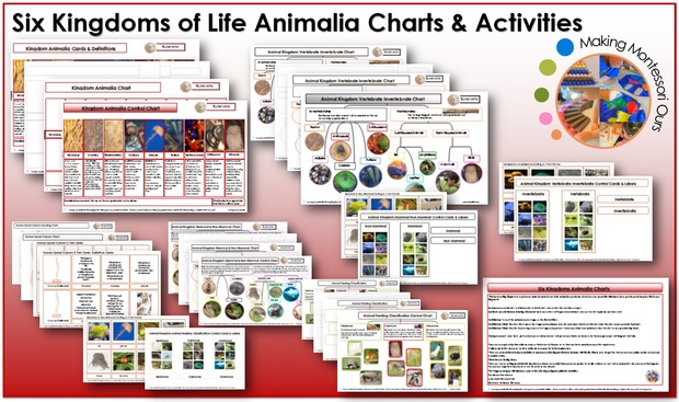 Six Kingdoms Animalia Charts, Materials and Labels Printable Package