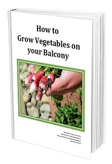 How to Grow Food on your Balcony