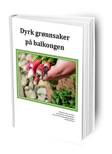 Dyrk grønnsaker på balkongen