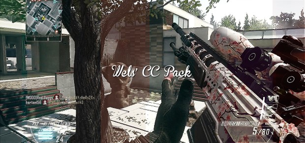 Wels' CC Pack!
