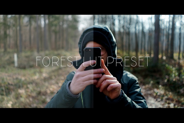 FOREST LUT | for filmmakers