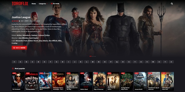 Toroflix Wordpress Theme (Netflix Clone)