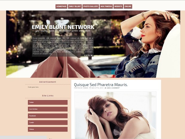 Wordpress Theme - 02