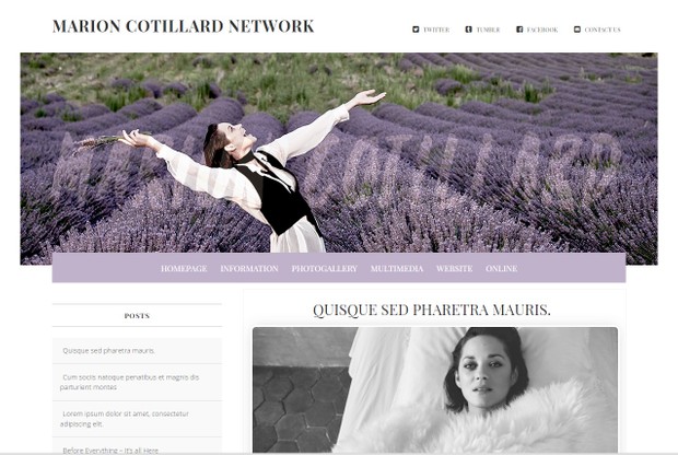 WP + CPG Bundle Premade 03